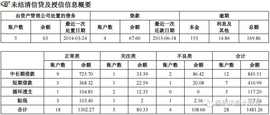 (征信报告)企业人行征信报告的全面梳理与数据介绍 第4张 (征信报告)企业人行征信报告的全面梳理与数据介绍 第4张