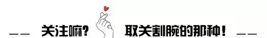 (十大聪明犬排名)狗狗智商排名,世界最聪明的十大狗狗,你知道哪些?  第11张 (十大聪明犬排名)狗狗智商排名,世界最聪明的十大狗狗,你知道哪些?  第11张