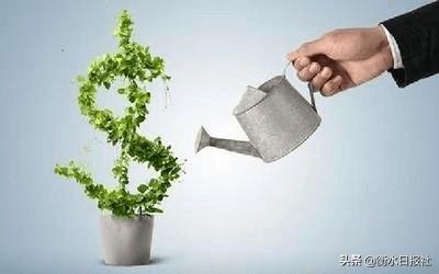 打铁还需自身硬，上海拍拍贷，一个温暖的金融公司(拍拍贷怎么样)  第2张