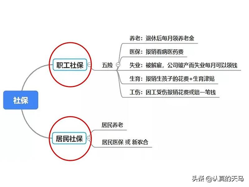 (社保有什么用)一次说清社保有什么用? 第1张 (社保有什么用)一次说清社保有什么用? 第1张