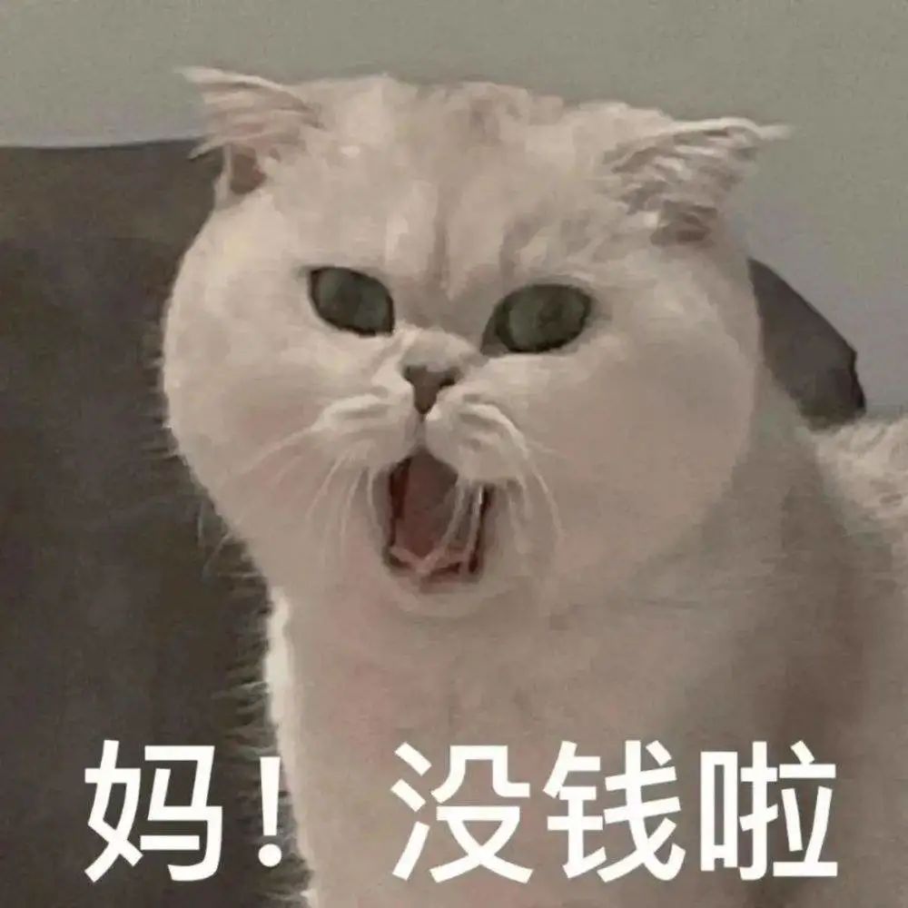 (家人想以我的名义贷款可以吗)江西南昌:儿子以母亲名义贷款买房,房屋断供,母亲需担责吗? 第1张 (家人想以我的名义贷款可以吗)江西南昌:儿子以母亲名义贷款买房,房屋断供,母亲需担责吗? 第1张