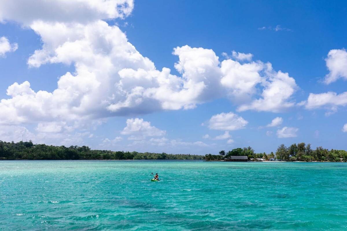 (瓦努阿图移民)瓦努阿图最新的移民政策是什么?护照好办吗?护照需要多少钱?  第3张