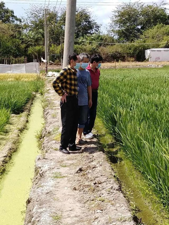 (袁隆平身价)“90后”袁隆平身价过千亿，是隐形富豪?实际他的收入才这个数  第4张