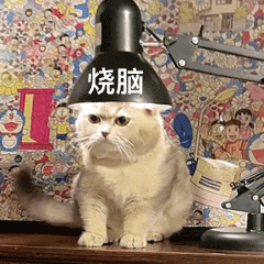 (单车事故)萍乡一共享单车驾驶人逆向行驶，造成交通事故，负主责!  第1张