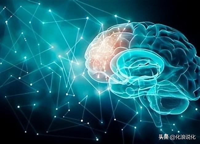 (人工智能就业方向及前景)计算神经科学能否成为未来人工智能的发展方向?  第3张