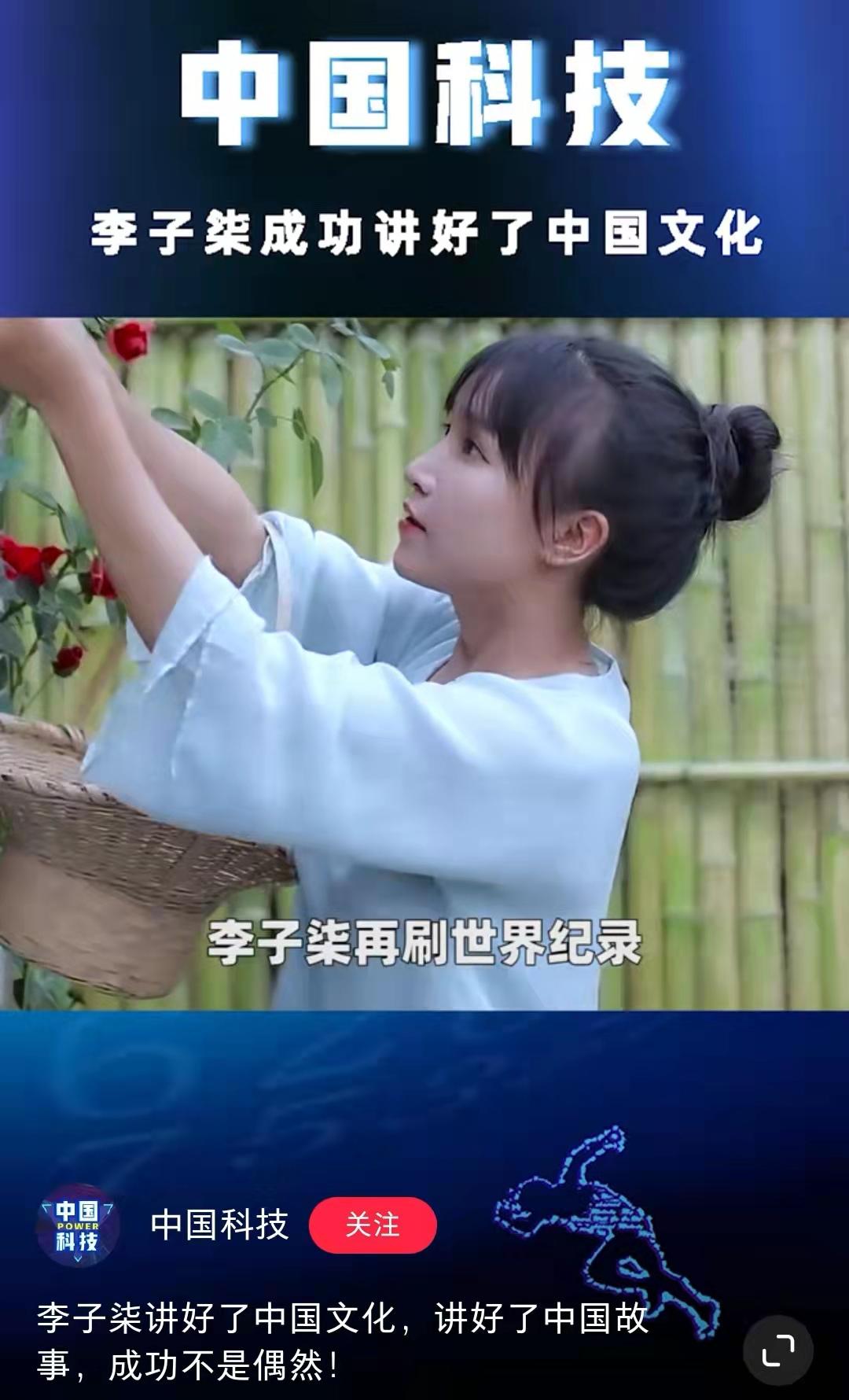 (youtube赚钱)"李子柒IP"有多赚钱!YouTube年入百万，却不属于李子柒本人  第4张