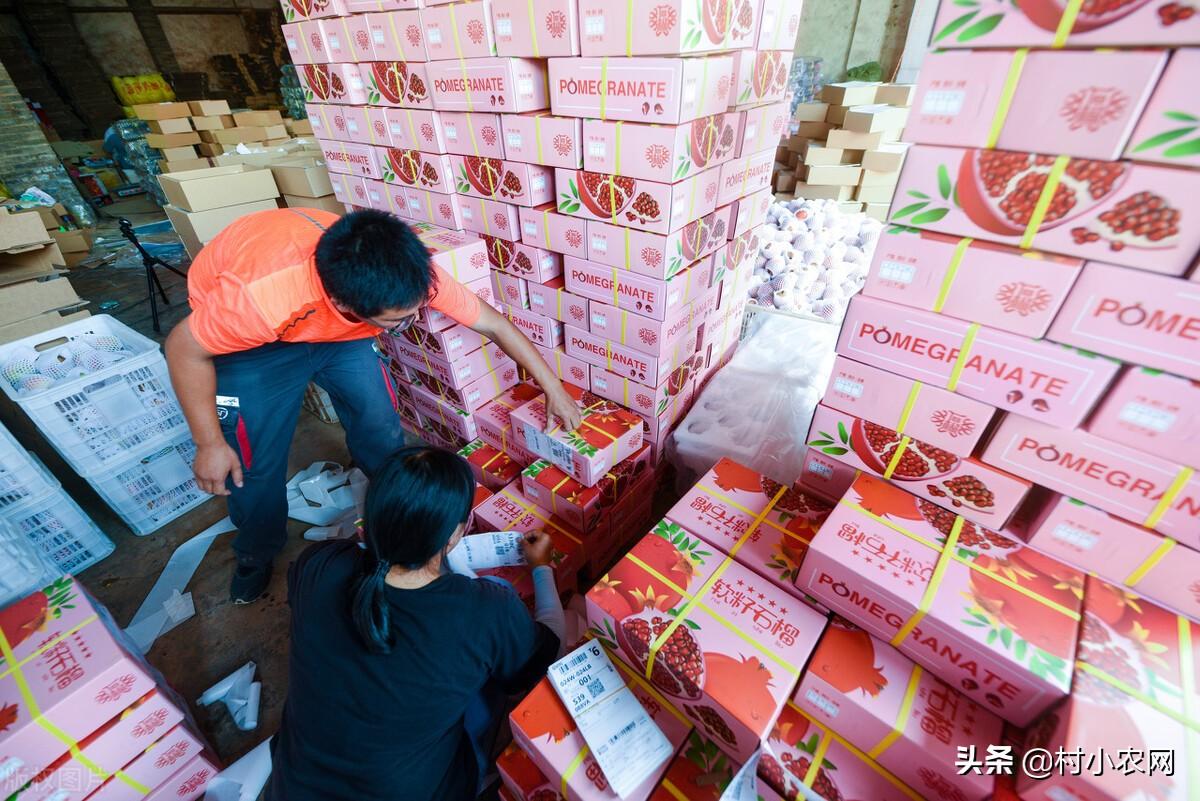 (创业致富项目)农村干啥赚钱?返乡创业这5个致富好项目,搞好了你也能月入过万 第2张 (创业致富项目)农村干啥赚钱?返乡创业这5个致富好项目,搞好了你也能月入过万 第2张
