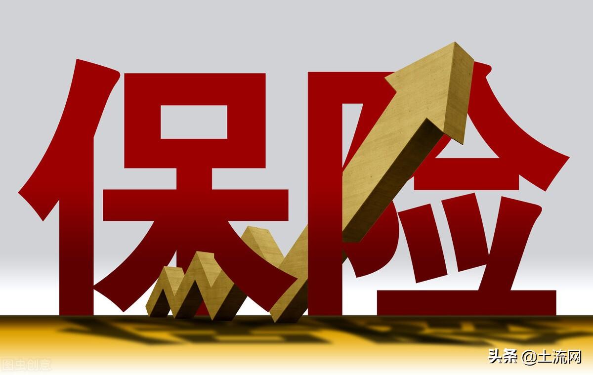 (低保申请怎么写)2021单人保一个月多少钱?和低保一样吗?申请怎么写? 第3张 (低保申请怎么写)2021单人保一个月多少钱?和低保一样吗?申请怎么写? 第3张