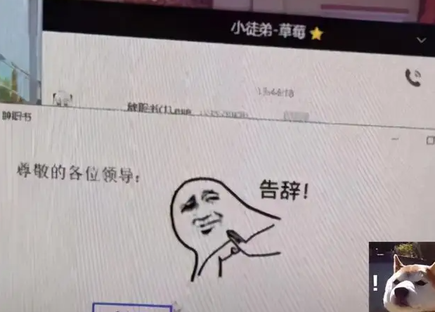 (最聪明的一种员工离职)“打工人最后的倔强”,00后员工辞职理由“太离谱”,老板:再见 第8张 (最聪明的一种员工离职)“打工人最后的倔强”,00后员工辞职理由“太离谱”,老板:再见 第8张