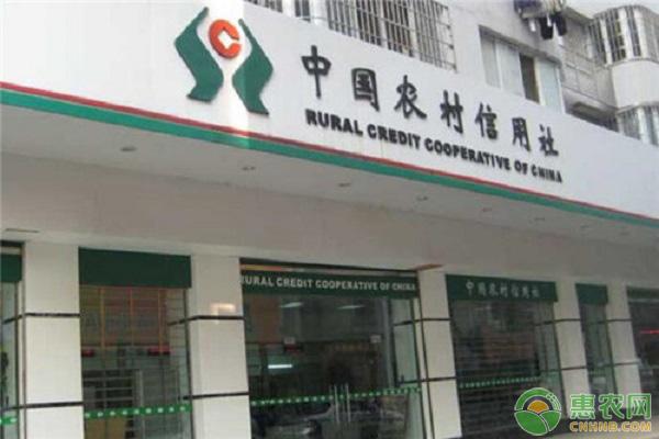 (贷款5万)农村户口贷款5万条件有哪些?需要什么手续?  第3张
