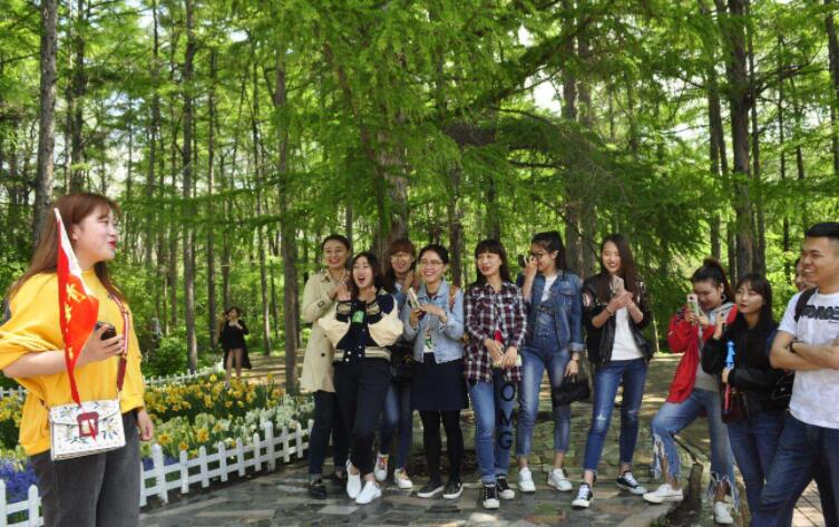 (旅游管理专业就业方向)旅游管理专业主要学什么?就业方向和前景怎么样? 第5张 (旅游管理专业就业方向)旅游管理专业主要学什么?就业方向和前景怎么样? 第5张