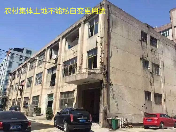 (小产权房能买吗)商品房买不起，小产权房能买吗?专业人士:不听劝!等着被拆吧  第4张