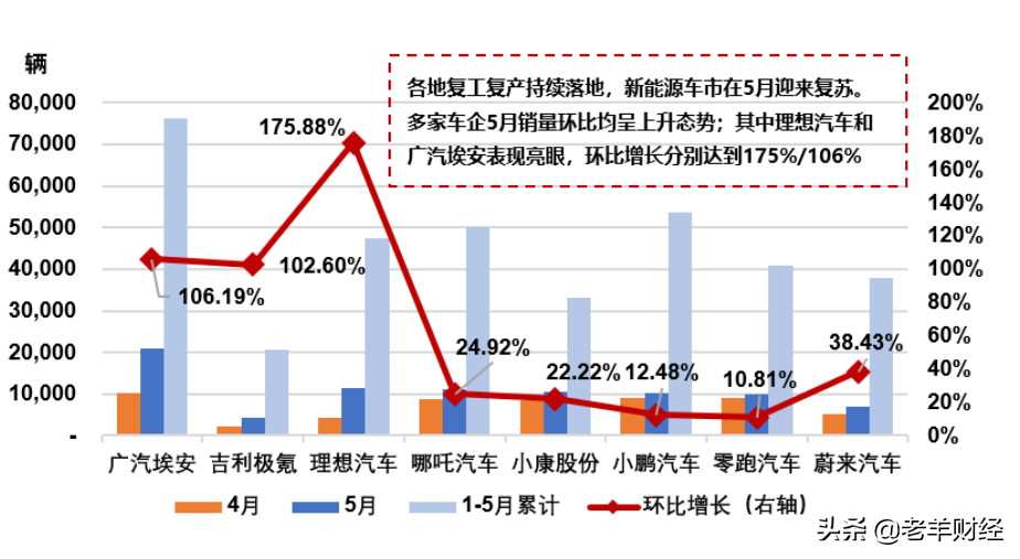 (新能源汽车股票)新能源汽车股票的未来是鲜花还是杂草? 第2张 (新能源汽车股票)新能源汽车股票的未来是鲜花还是杂草? 第2张