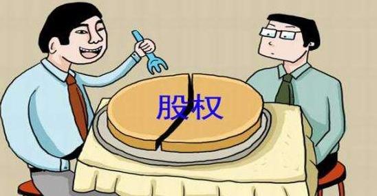 (股份和股权的区别)公司股权和股东股份的区别  第1张