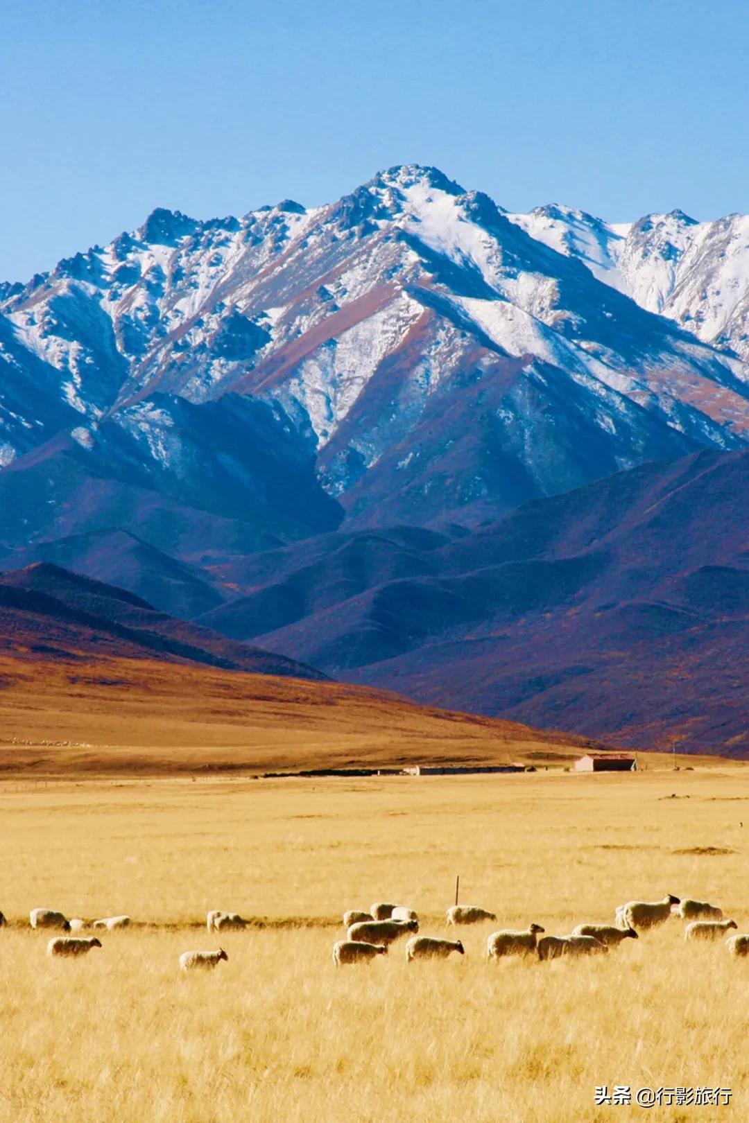 (河西走廊位于什么以西)关于河西走廊，这应该是最全的介绍了  第2张