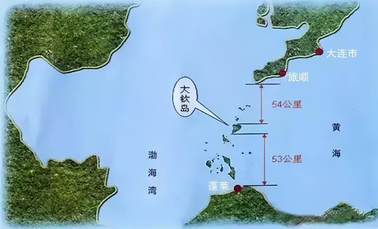 (哪里买海参比较好)哪里的海参好?海参产地大揭秘  第7张