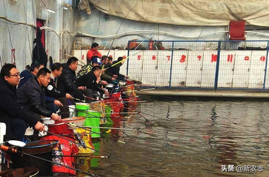 (30万创业项目)农村创业项目少，但他却投30万建室内钓鱼场，年利润可观  第3张