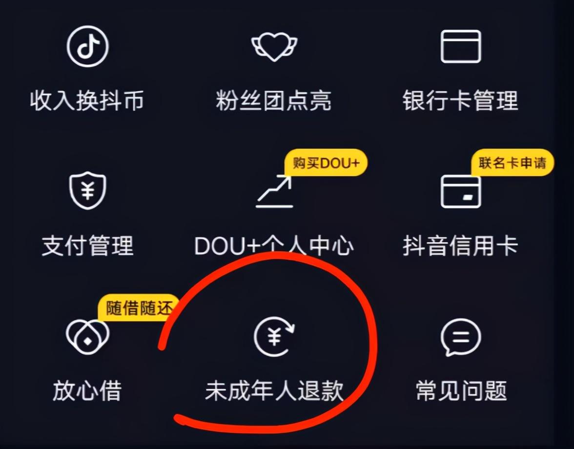 (抖音放心借)独家|字节内测抖音版花呗「放心花」，加速构建金融版图  第2张