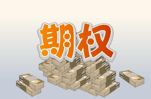 (期权是什么意思)一文看懂什么是期权  第2张