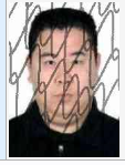 丛台法院公布失信被执行人员名单(2022年第一期)(查失信人员名单官网)  第35张