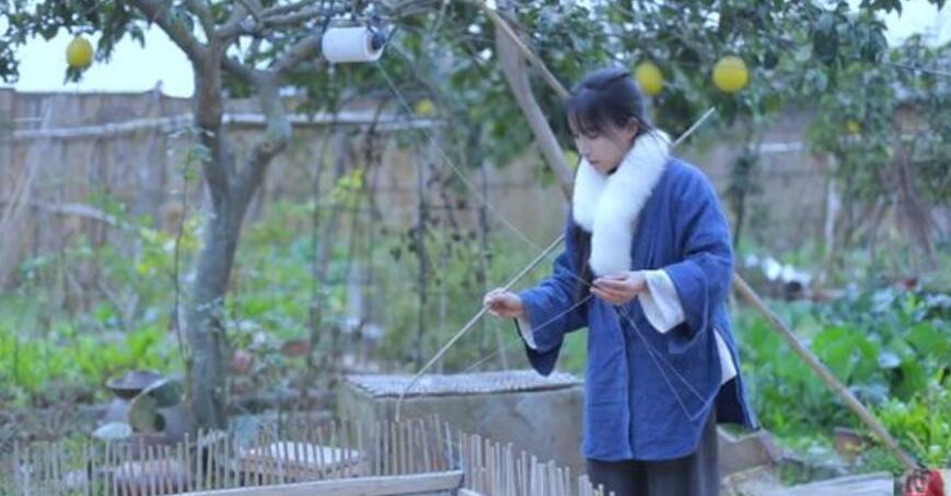 (youtube赚钱)"李子柒IP"有多赚钱!YouTube年入百万，却不属于李子柒本人  第17张