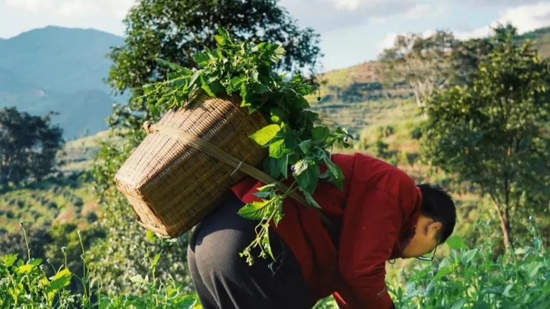 (赚钱行业)未来可以赚钱的4个行业 第1张 (赚钱行业)未来可以赚钱的4个行业 第1张