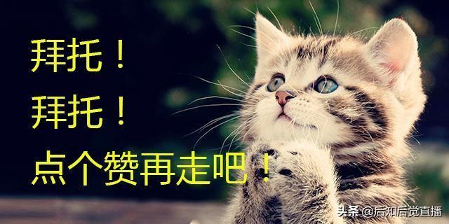 股票年线是多少日线,股票年线是什么意思?突破年线意味着什么 第2张 股票年线是多少日线,股票年线是什么意思?突破年线意味着什么 第2张