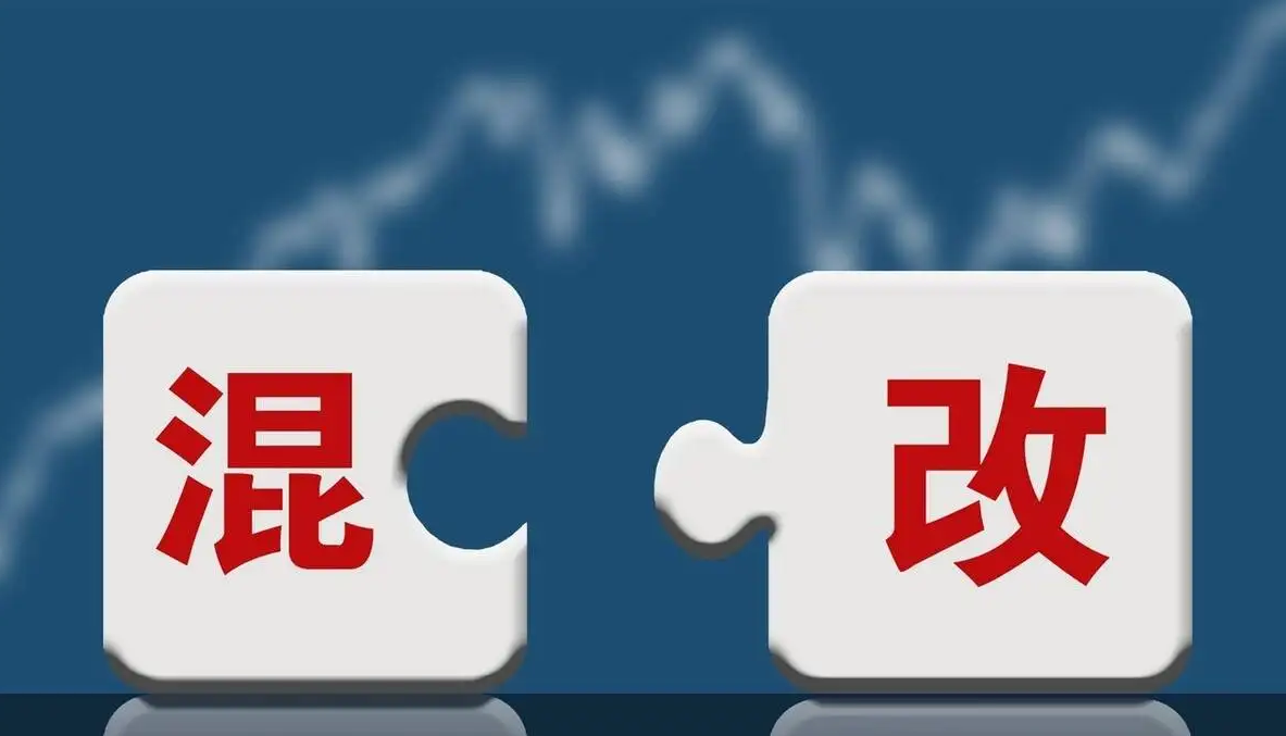 (混改是什么意思)国企混改是什么意思? 第2张 (混改是什么意思)国企混改是什么意思? 第2张