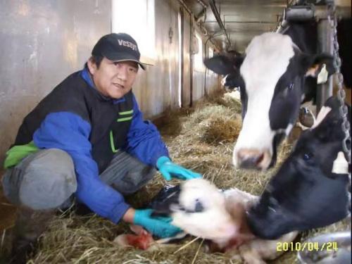 (爱德华王子岛移民)扎根还是逃离?加拿大爱德华王子岛华裔移民素描 第3张 (爱德华王子岛移民)扎根还是逃离?加拿大爱德华王子岛华裔移民素描 第3张