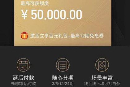 (京东白条激活失败)京东白条激活失败什么原因怎么办 开通不了解决方法  第2张