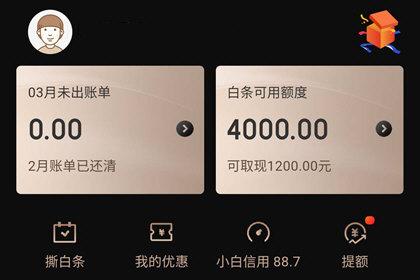(京东白条激活失败)京东白条激活失败什么原因怎么办 开通不了解决方法  第3张