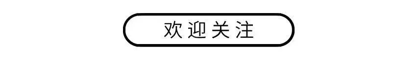 什么是自贸区 什么是自贸区，终于懂了  第15张