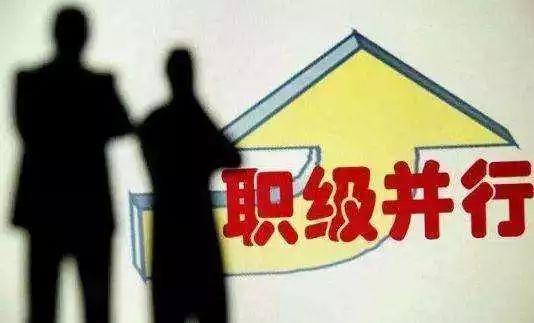 重磅!中办发布《公务员职务与职级并行规定》(全文)(公务员职务与职级并行规定)  第1张