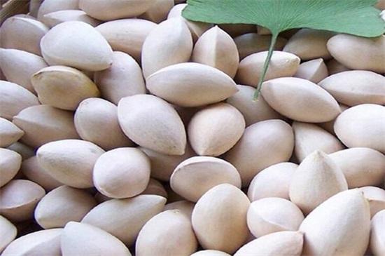 (银杏果怎么处理才能吃)银杏果怎么吃不中毒,掌握4种方法即可安全放心食用 第2张 (银杏果怎么处理才能吃)银杏果怎么吃不中毒,掌握4种方法即可安全放心食用 第2张