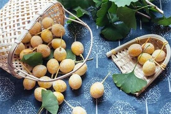 (银杏果怎么处理才能吃)银杏果怎么吃不中毒,掌握4种方法即可安全放心食用 第5张 (银杏果怎么处理才能吃)银杏果怎么吃不中毒,掌握4种方法即可安全放心食用 第5张