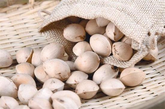 (银杏果怎么处理才能吃)银杏果怎么吃不中毒,掌握4种方法即可安全放心食用 第7张 (银杏果怎么处理才能吃)银杏果怎么吃不中毒,掌握4种方法即可安全放心食用 第7张