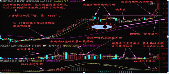 (老鸭头选股公式)一位10年金融界大佬:简单实用的“老鸭头”战法+选股器选股公式,喜欢的直接抱走,堪称股市“最强战法” 第1张 (老鸭头选股公式)一位10年金融界大佬:简单实用的“老鸭头”战法+选股器选股公式,喜欢的直接抱走,堪称股市“最强战法” 第1张