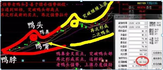 (老鸭头选股公式)一位10年金融界大佬:简单实用的“老鸭头”战法+选股器选股公式,喜欢的直接抱走,堪称股市“最强战法” 第3张 (老鸭头选股公式)一位10年金融界大佬:简单实用的“老鸭头”战法+选股器选股公式,喜欢的直接抱走,堪称股市“最强战法” 第3张