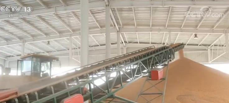 我国粮食产业经济年总产值超3万亿元 成经济发展新亮点(年总产值) 第6张 我国粮食产业经济年总产值超3万亿元 成经济发展新亮点(年总产值) 第6张