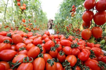 (ppi指数)工业生产者出厂价格指数(PPI)比上年下降1.8% 第7张 (ppi指数)工业生产者出厂价格指数(PPI)比上年下降1.8% 第7张