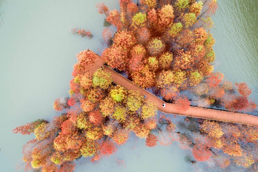 (ppi指数)工业生产者出厂价格指数(PPI)比上年下降1.8% 第10张 (ppi指数)工业生产者出厂价格指数(PPI)比上年下降1.8% 第10张