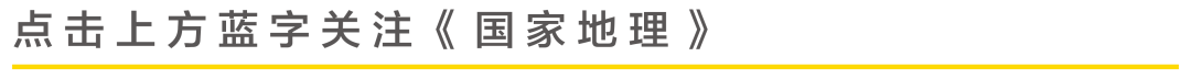 (厚礼蟹)鲎,人类真正的“厚礼蟹” 第1张 (厚礼蟹)鲎,人类真正的“厚礼蟹” 第1张