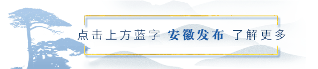 职业年金怎么查询 安徽机关事业单位职工职业年金可线上查询  第1张