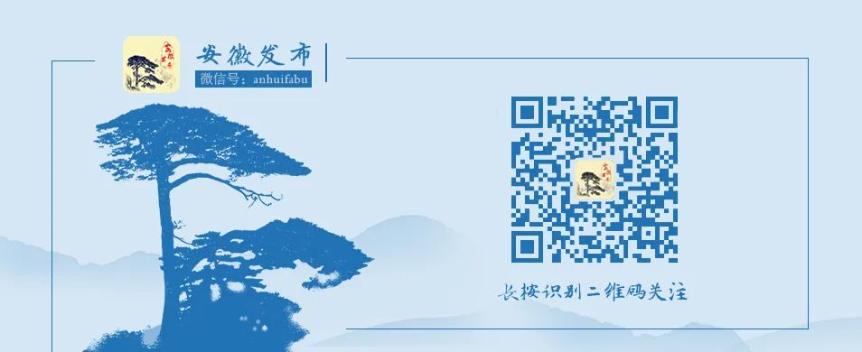 职业年金怎么查询 安徽机关事业单位职工职业年金可线上查询  第4张