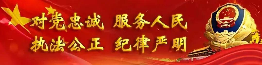 (出国移民机构)【警种工作成就巡礼】全国移民管理机构:踔厉奋发 书写新时代移民管理优秀答卷  第1张