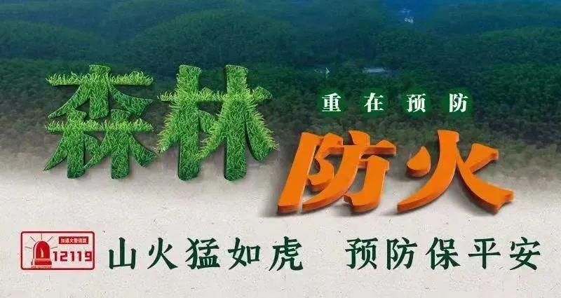 (公租房申请)宜小布来帮忙(70)丨申请公租房流程、居住证办理…解答来了! 第4张 (公租房申请)宜小布来帮忙(70)丨申请公租房流程、居住证办理…解答来了! 第4张