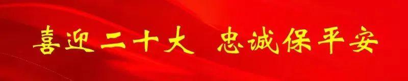 (出国移民机构)【警种工作成就巡礼】全国移民管理机构:踔厉奋发 书写新时代移民管理优秀答卷  第2张