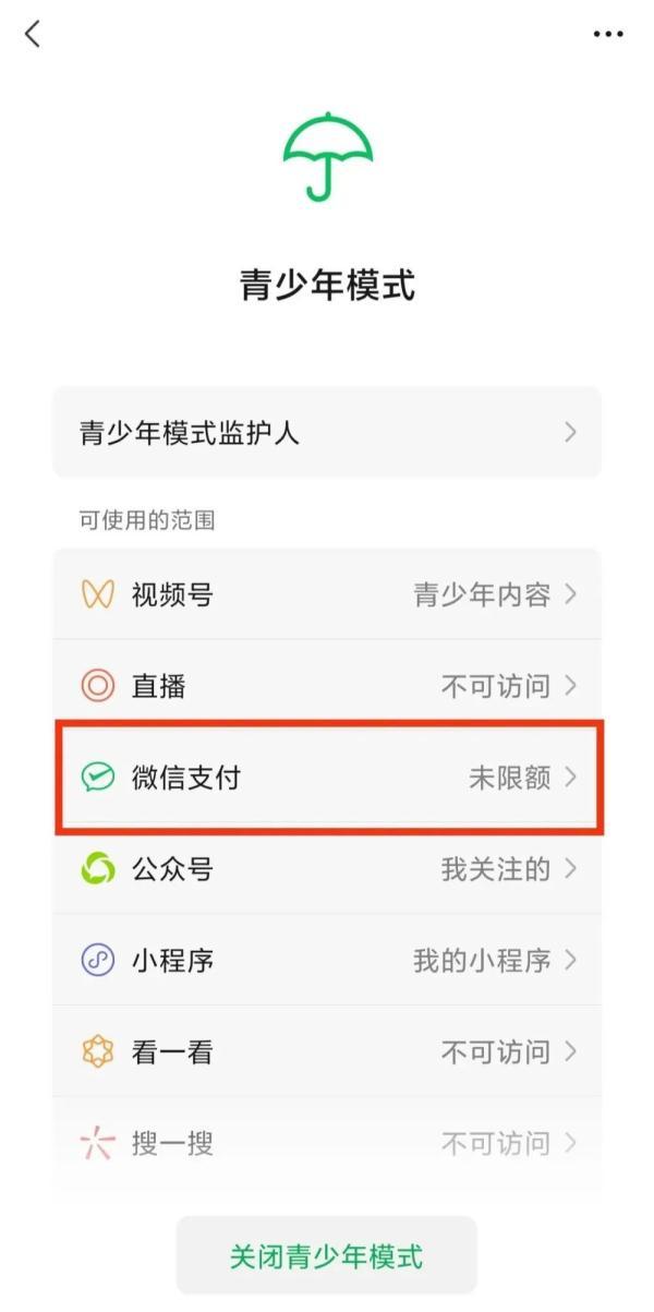 微信零钱支付限额,微信又添新功能!青少年模式支付限额上线 第1张 微信零钱支付限额,微信又添新功能!青少年模式支付限额上线 第1张