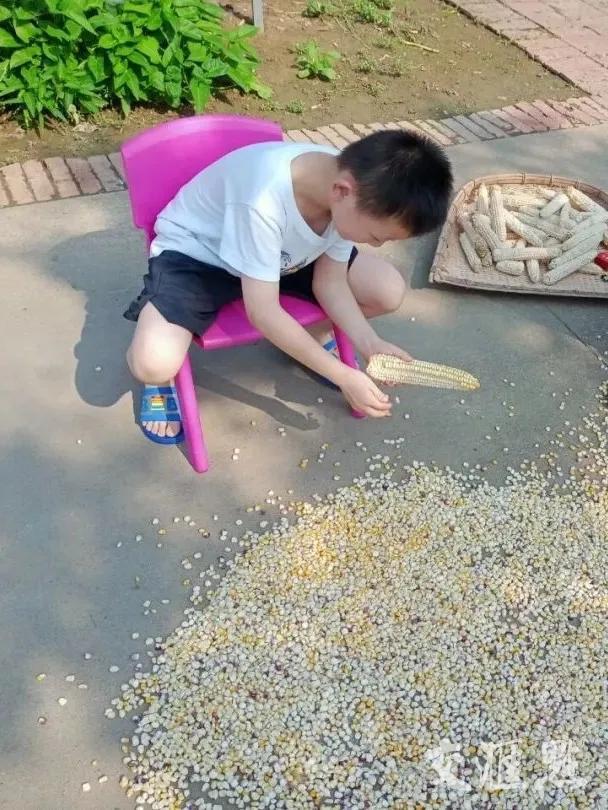 (双减政策指什么)首页看点|“双减”政策落地一年暑期观察，校内外都有什么变化?  第1张
