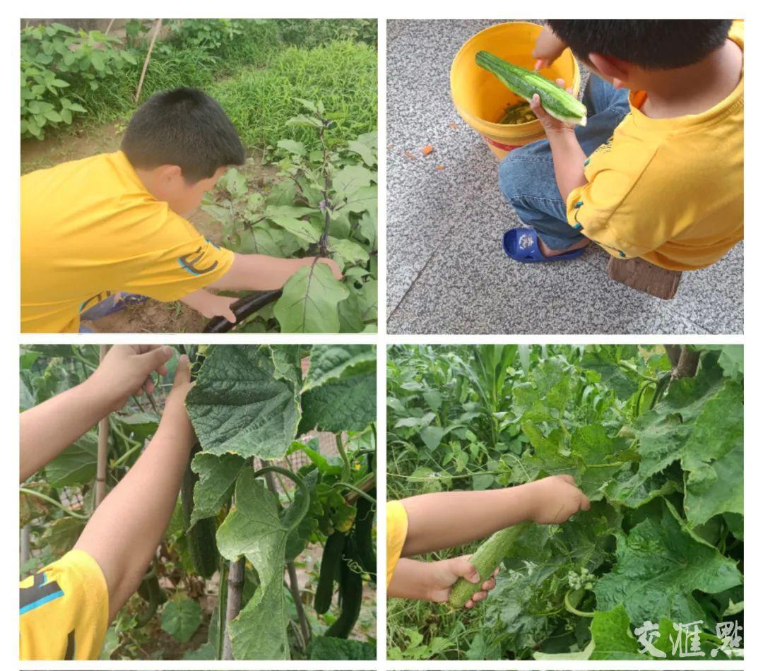 (双减政策指什么)首页看点|“双减”政策落地一年暑期观察，校内外都有什么变化?  第2张